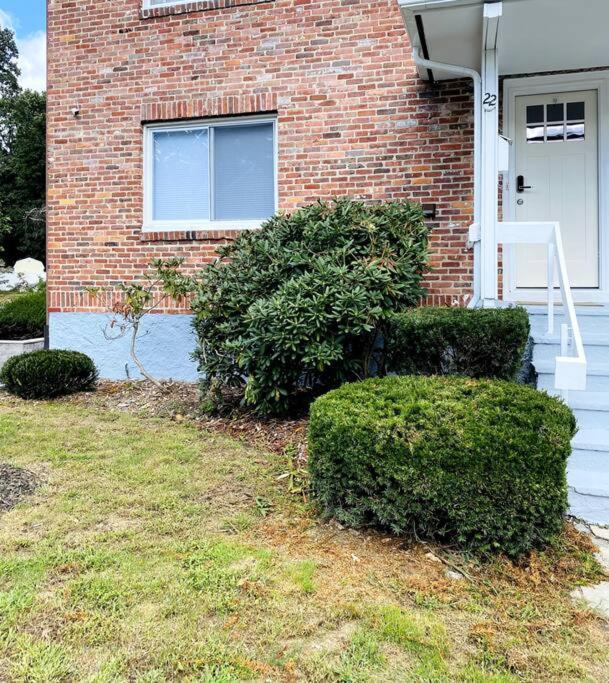 Cozy Boston Getaway Apartment! Free Parking Екстериор снимка